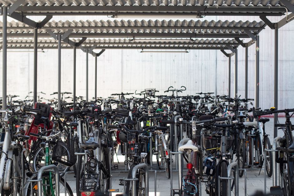Kursleiter für Pflanzenfaser-Verarbeitung in der Werkstatt